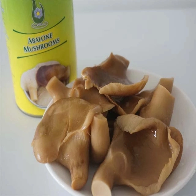 Canned Golden Abalone Mushroom in Brine