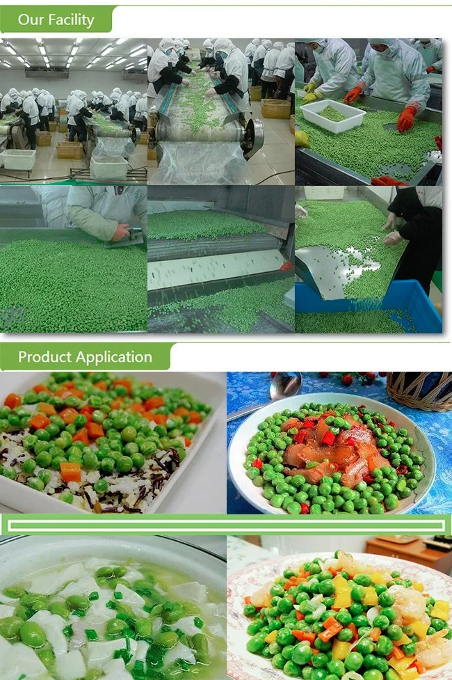 Top Quality New Crop Frozen IQF Green Peas with Brc HACCP