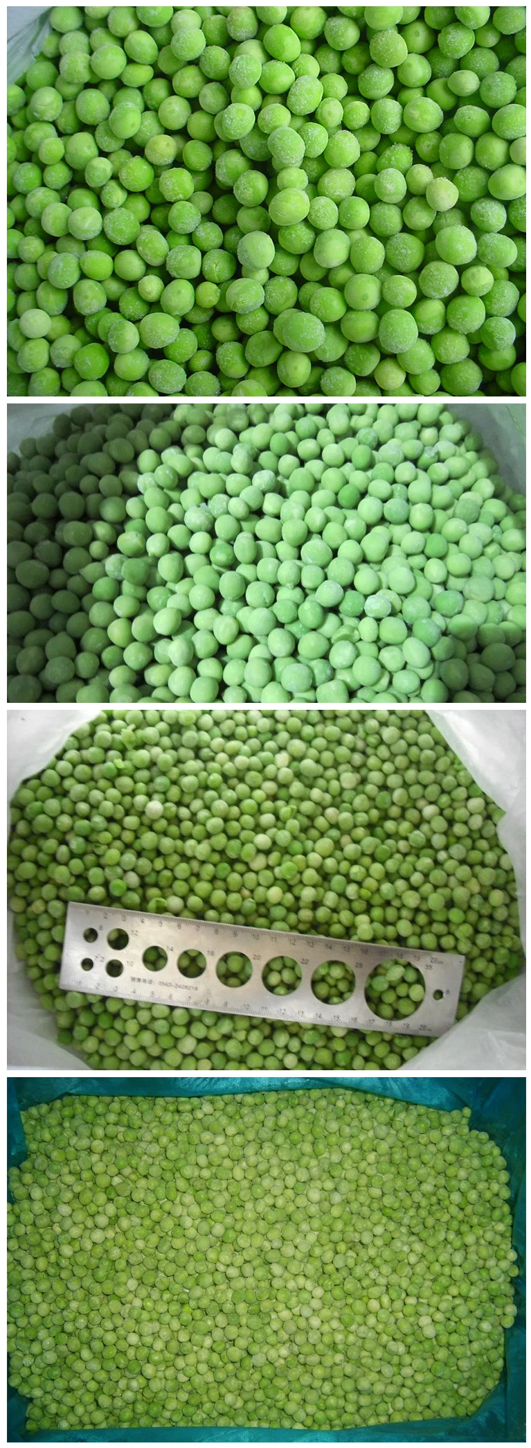 New Crop Fresh Frozen Vegetables Fresh Deep Frozen Green Peas