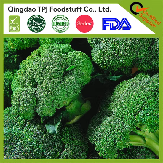 China Great Value Frozen Crop Green Broccoli Organic IQF Broccoli with Retail Bulk Price for Exporting