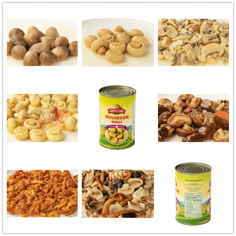 Mushroom Canned Foods, Champignon Mushroom From Factory,Delicious Food for Mushroom,High Quality for Champignon, Chinese Mushroom,Champignon with Drum Packing