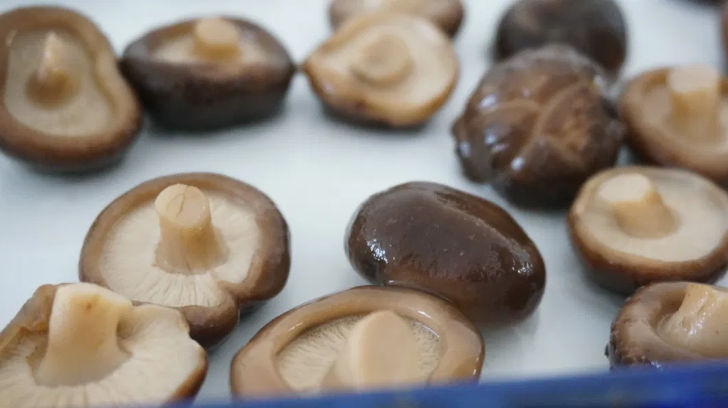 Easy Open Lid and Well Preserved Shiitake Mushroom in Glass Jar