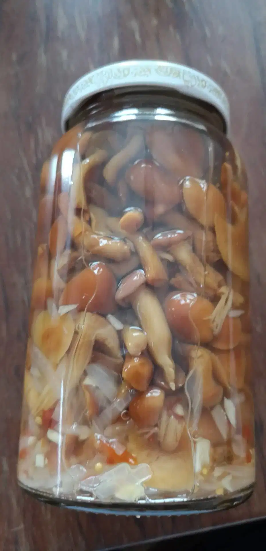 Canned Assorted Mushrooms in Brine