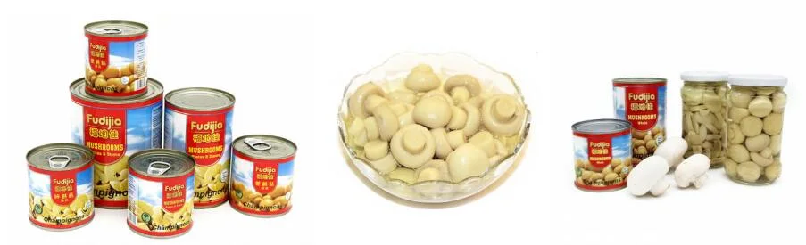 Canned Mushroom with High Quality and Good Price