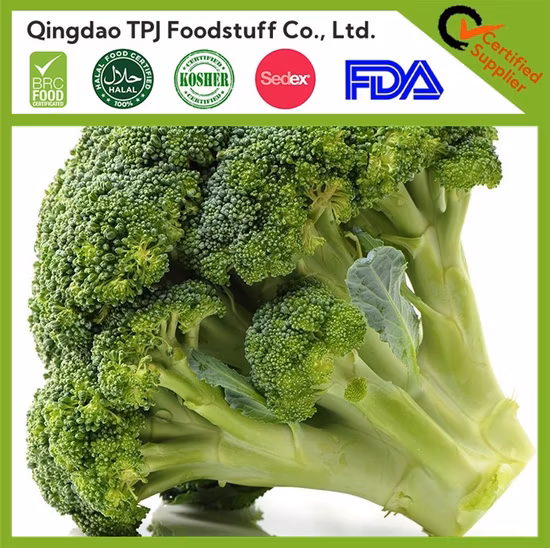 China Great Value Frozen Crop Green Broccoli Organic IQF Broccoli with Retail Bulk Price for Exporting