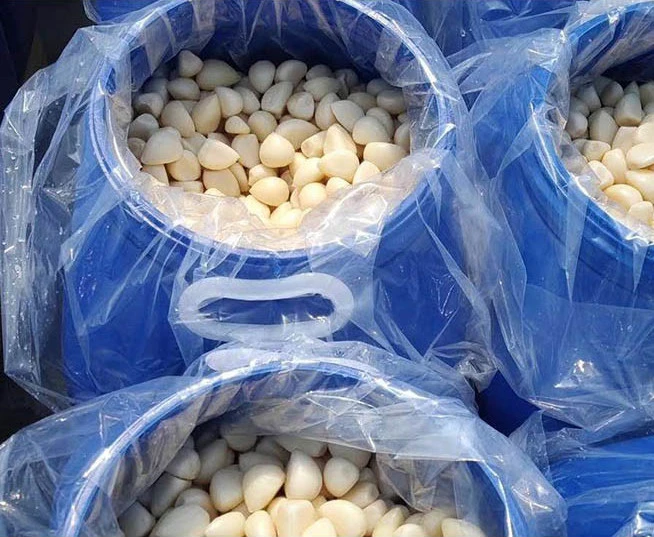 China New Crop Hot Sale Garlic Cloves in Brine