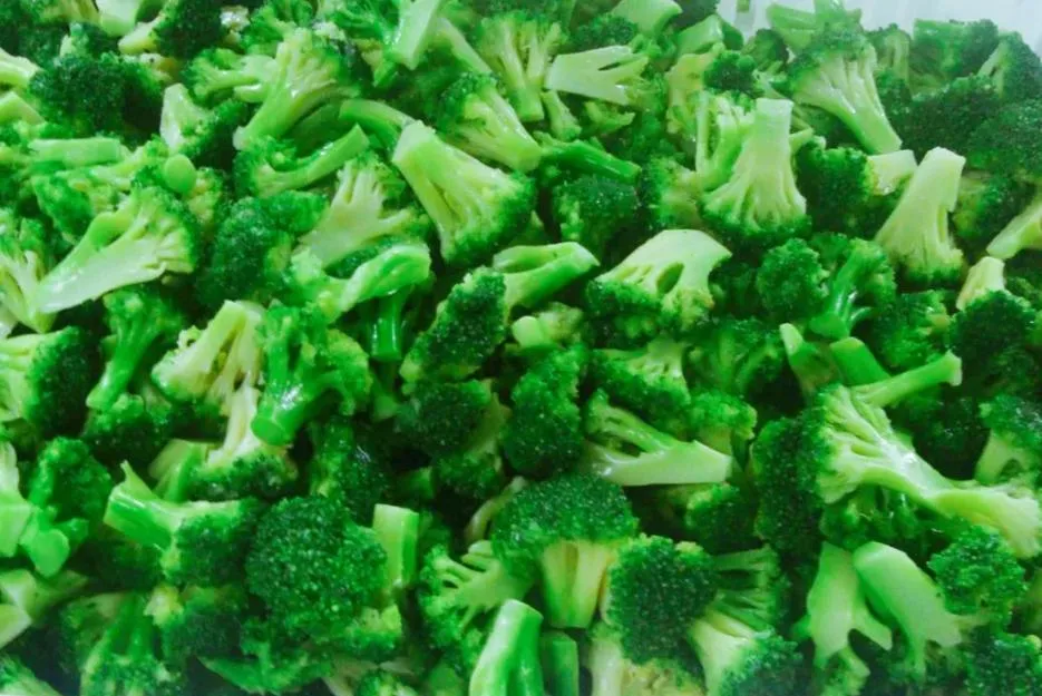 Frozen Broccoli Floret Frozen Vegetables, Frozen Food Carrot Fish Fresh Broccoli Hot Sale Withfda Halal ISO Certification
