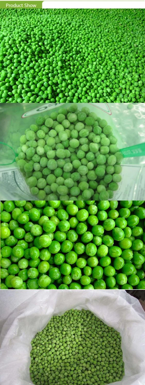 Top Quality China Frozen IQF Green Peas Direct Supply in Bulk Retail Packing with Brc FDA HACCP Certification