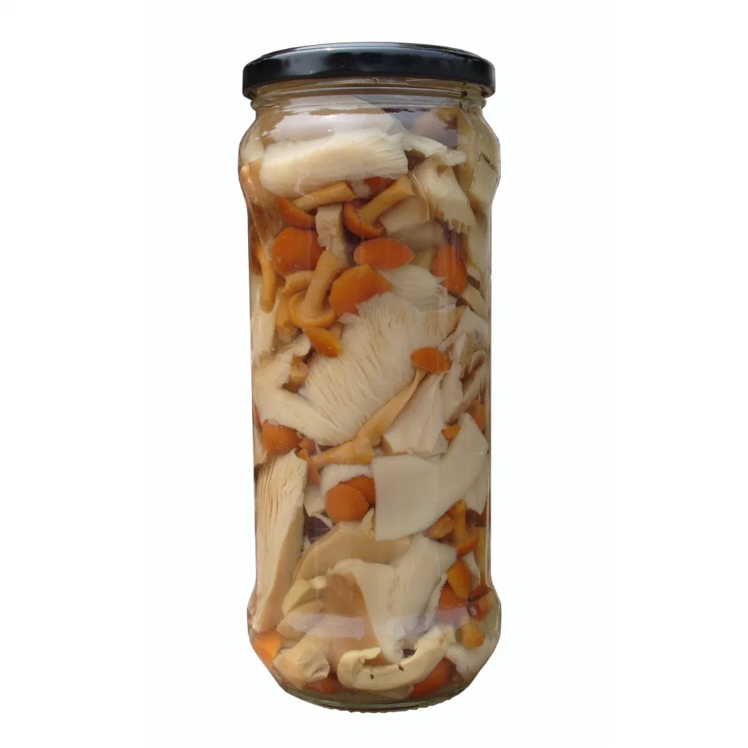 Canned Assorted Mushrooms in Brine