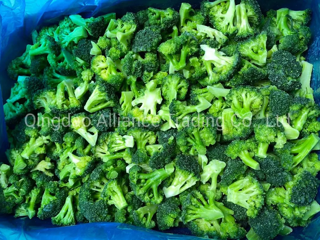China Great Value Frozen Crop Green Broccoli Organic IQF Broccoli with Retail Bulk Price for Exporting