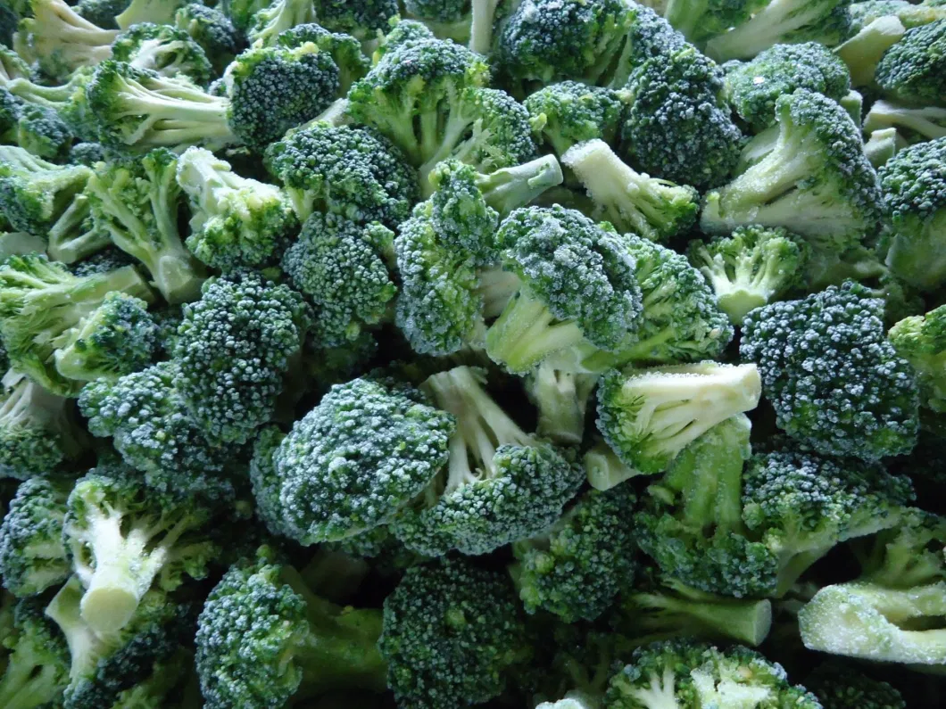 Health Vegetable Nutrition Health Frozen Broccoli