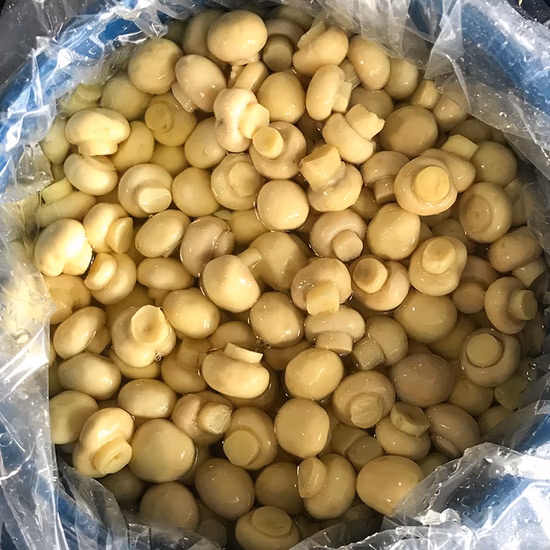 Whole Champignon Mushroom in So2 Pack in Drum