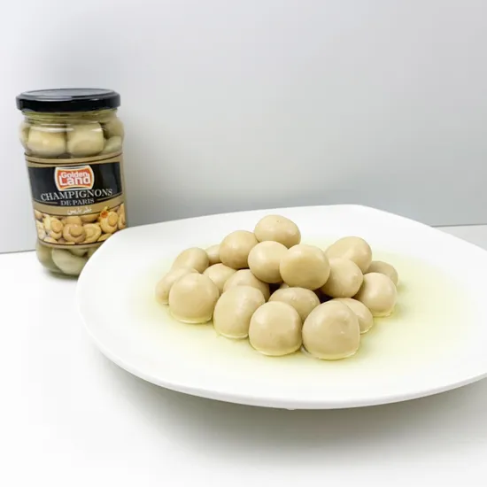 Healthy Canned Food Canned Mushroom Whole in Brine