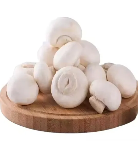 Canned Mushroom in Brine Whole, P&S and Slices Whole Mushroom with High Quality