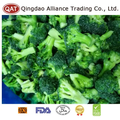 China Great Value Frozen Crop Green Broccoli Organic IQF Broccoli with Retail Bulk Price for Exporting