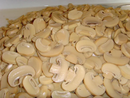Good Quality Canned Slice Whole Mushroom in Can Food From China