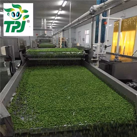 New Crop IQF Frozen Green Pea, Green Peas