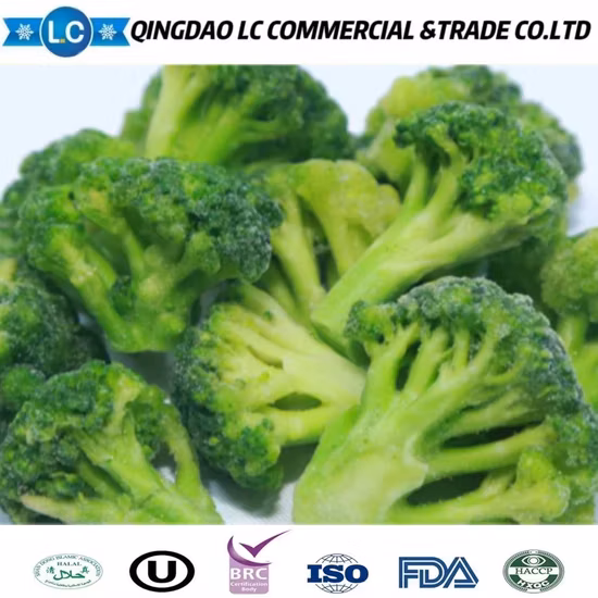 Broccoli Plant Frozen IQF Wholesale Fresh Broccoli Sprouts Picking Broccoli