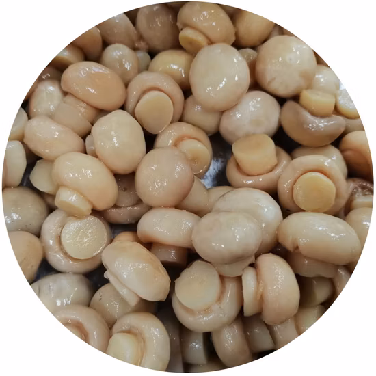 Whole Champignon Mushroom in So2 Pack in Drum